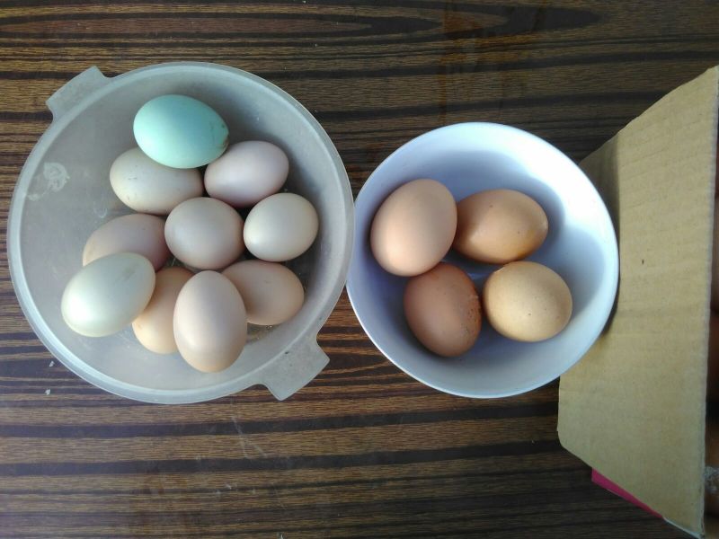 土鸡蛋食用50g以下