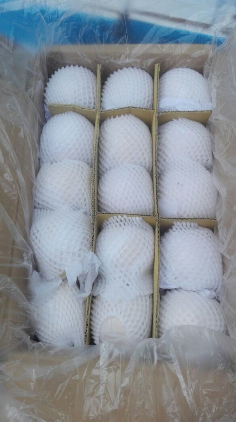皇冠梨60~100g纸袋