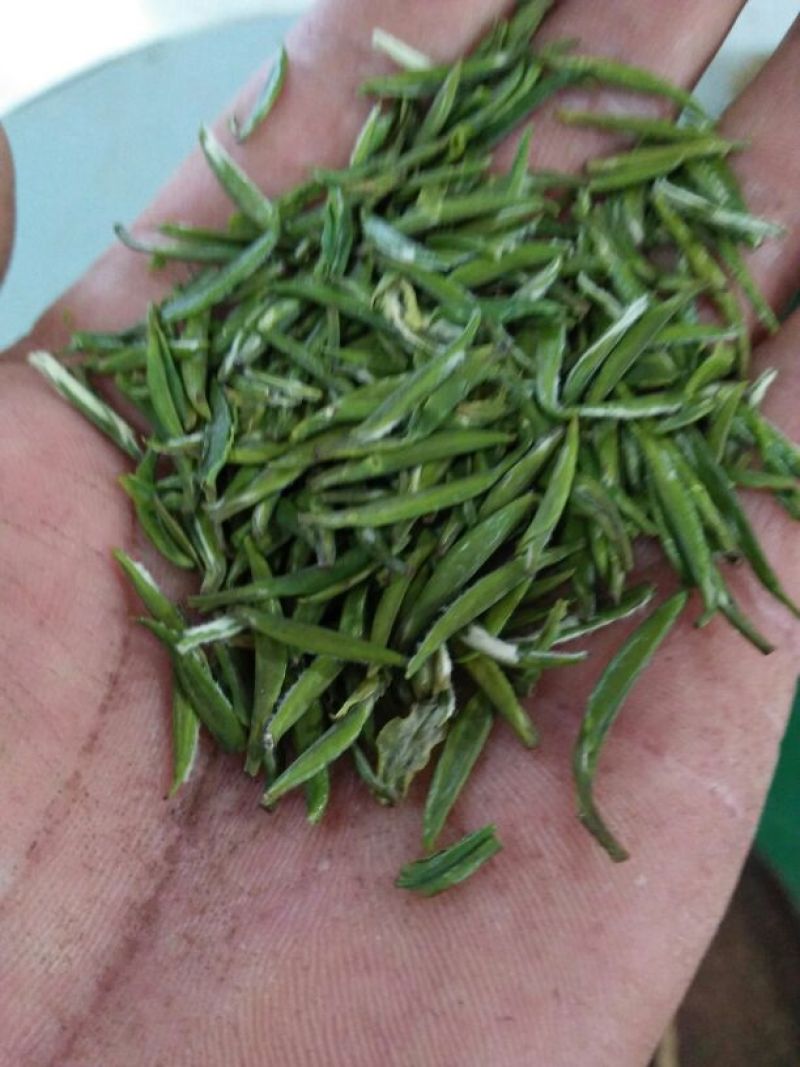 石阡苔茶特级