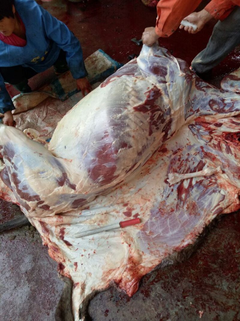 驴肉鲜货
