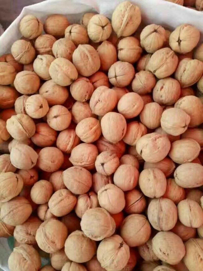 纸皮核桃去皮干