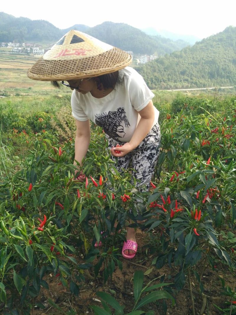 剁椒
