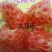 枣庄石榴8两~1斤