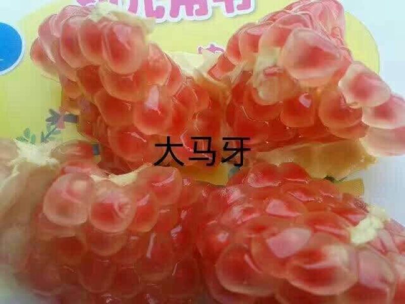 枣庄石榴8两~1斤