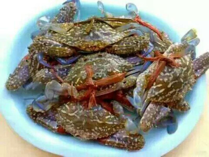 螃蟹红蓝花蟹食用