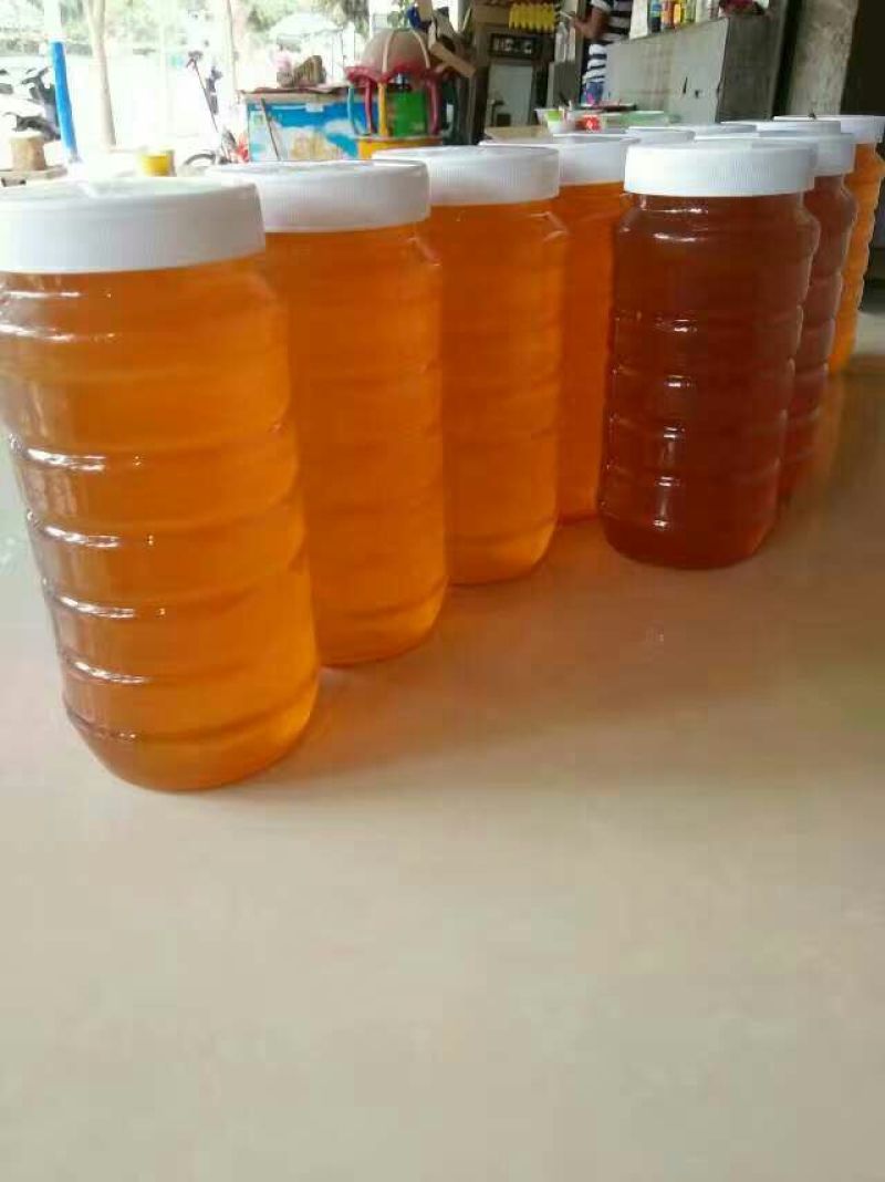 云南野生土蜂蜜石蜂蜜2斤