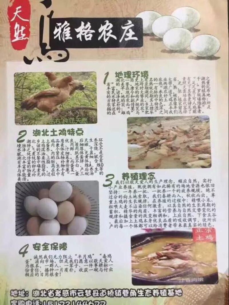 土鸡蛋