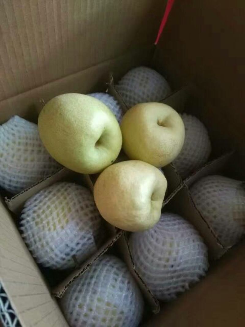 贡梨纸袋