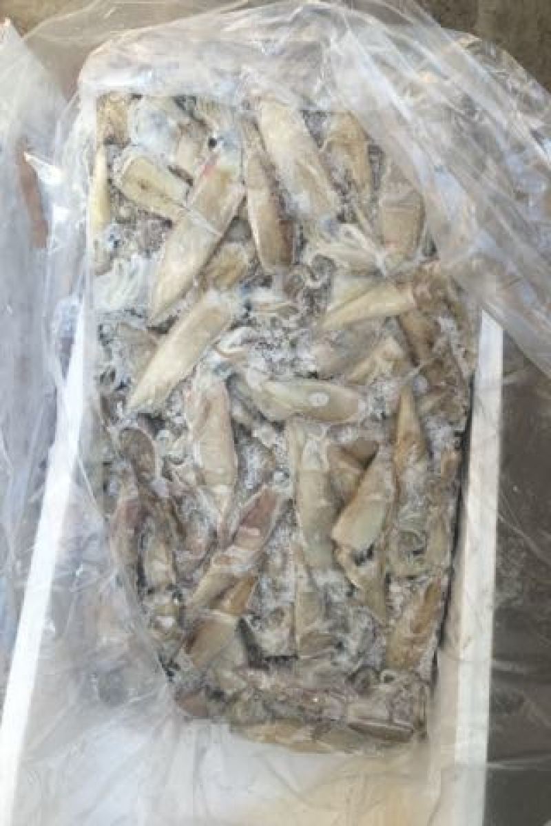 繸鳚