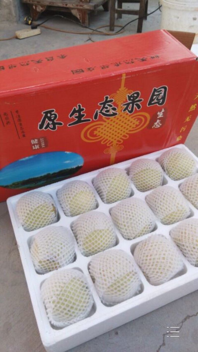 酥梨250~300g纸加膜