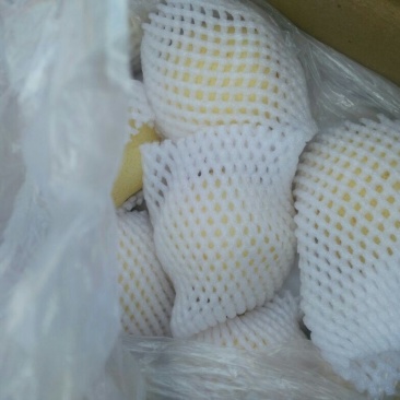 皇冠梨300~350g筐装