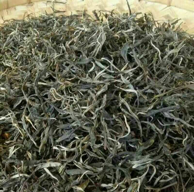 古树普洱茶一级