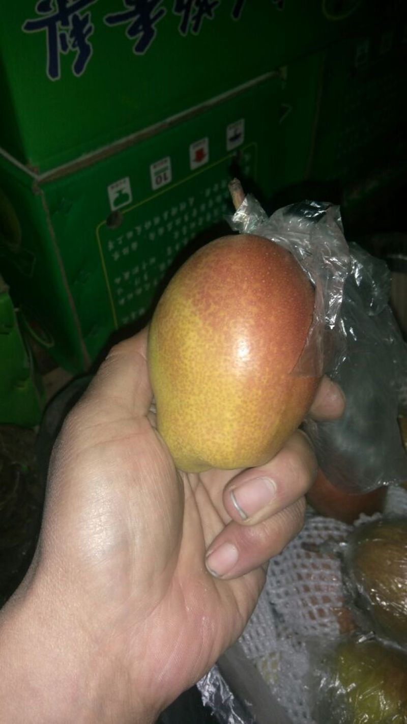 红香酥梨400~450g膜袋
