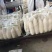 白萝卜1~1.5斤起