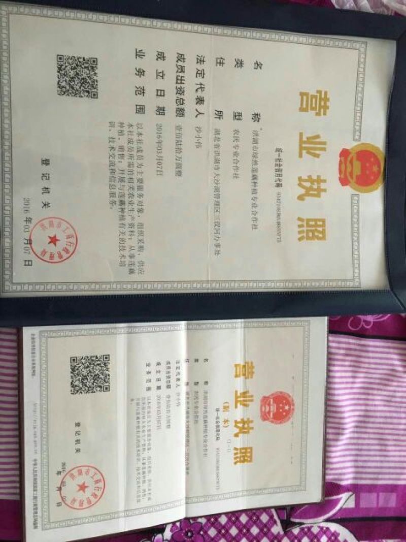 莲藕3735外型好口感佳支持规格挑选水洗藕品种齐全
