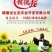 绿壳鸡蛋天然散养，绿壳蛋