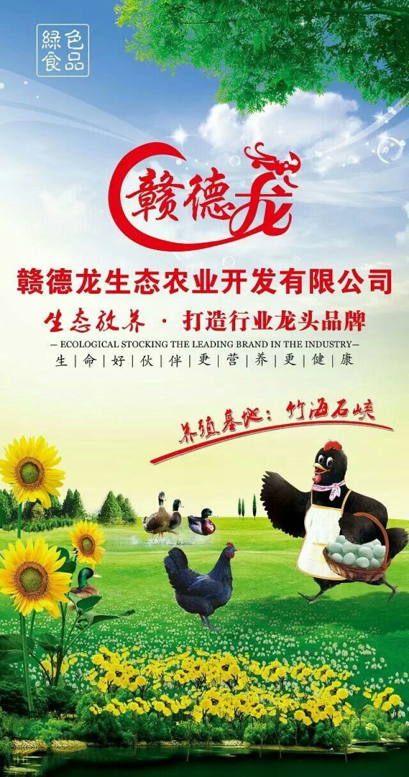 绿壳鸡蛋天然散养，绿壳蛋