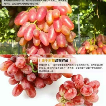 红葡萄干无核一级