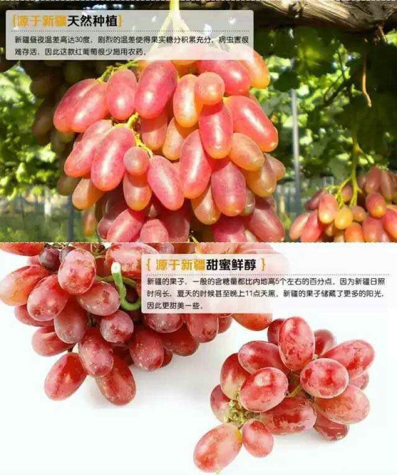 红葡萄干无核一级