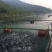 河鲤鱼