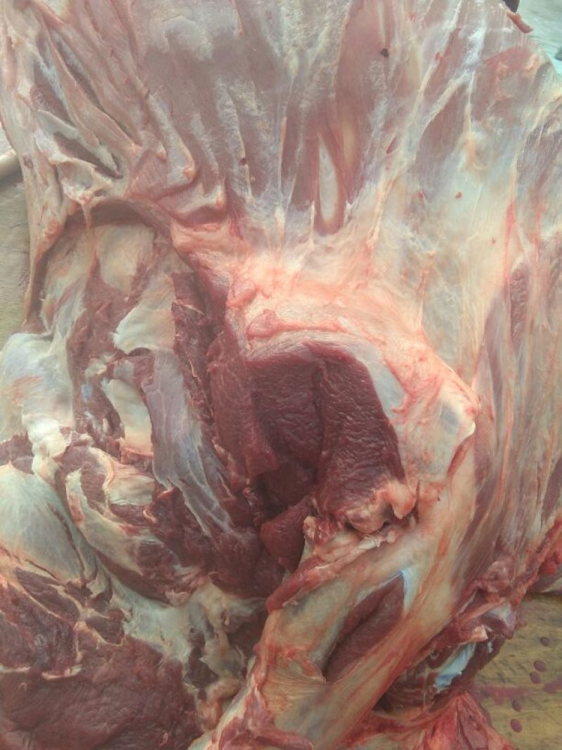 驴肉鲜货