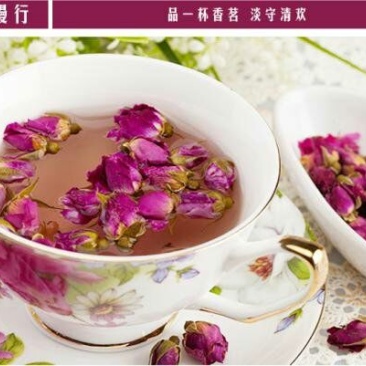 苦水玫瑰