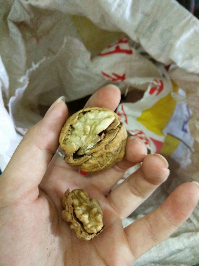 薄皮核桃30mm以上去皮