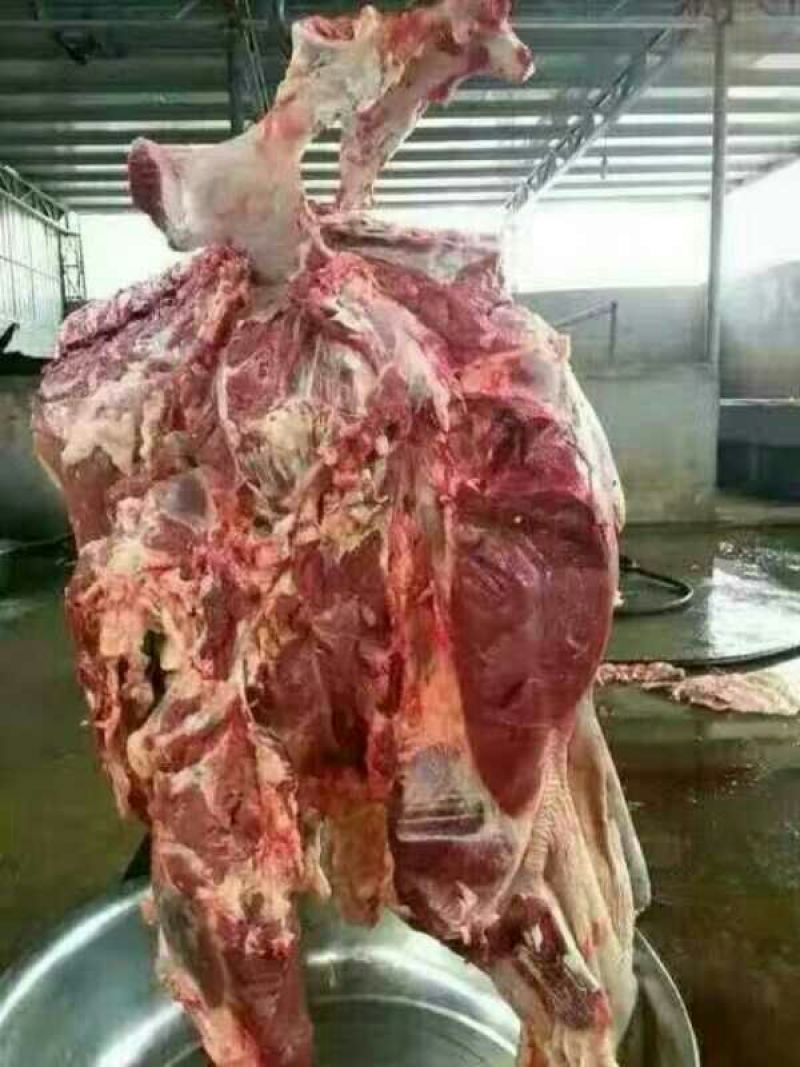 驴肉驴肉驴鞭板肠量大包邮