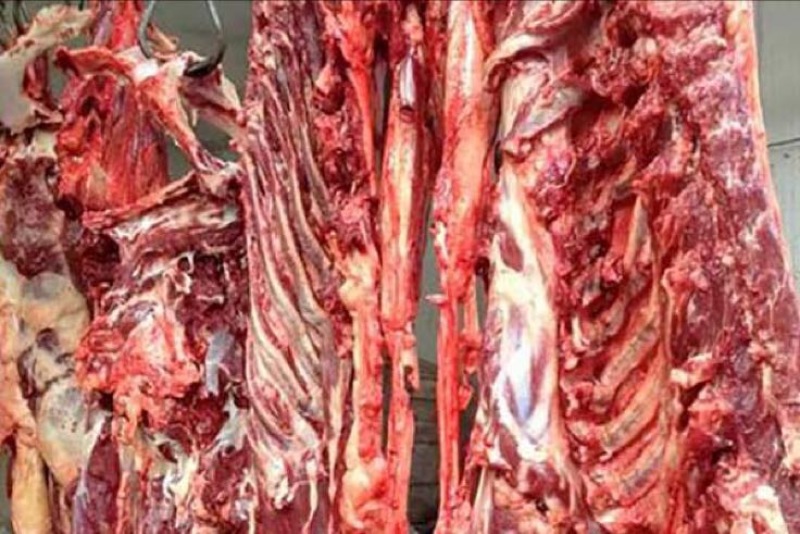 驴肉