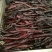 牛肉干黄牛肉鲜肉
