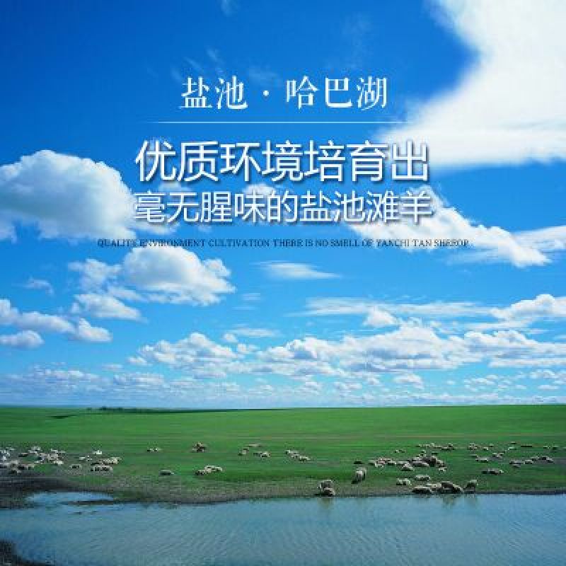 羊后腱绵羊肉盐池滩羊肉