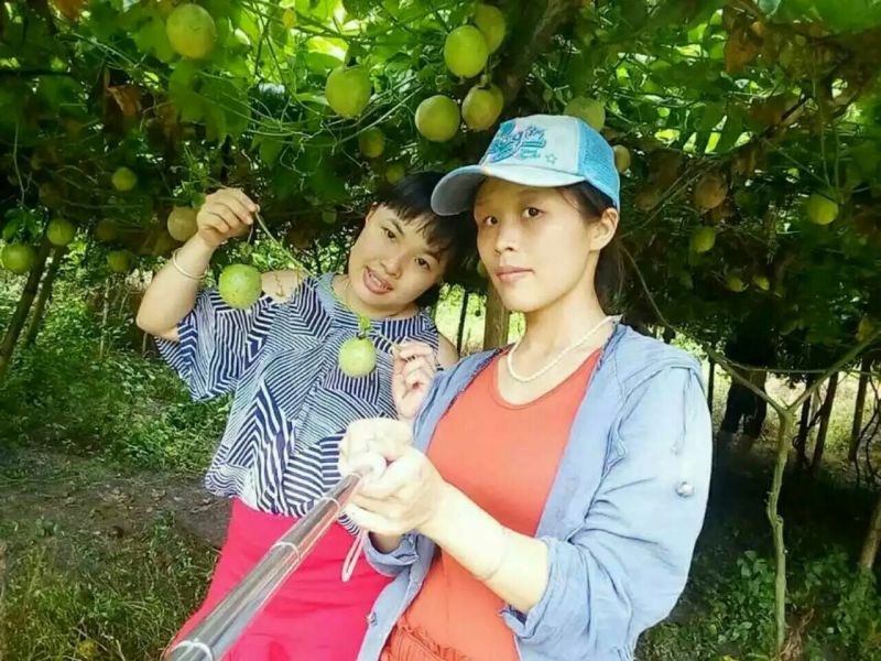 百香果80~90g紫果