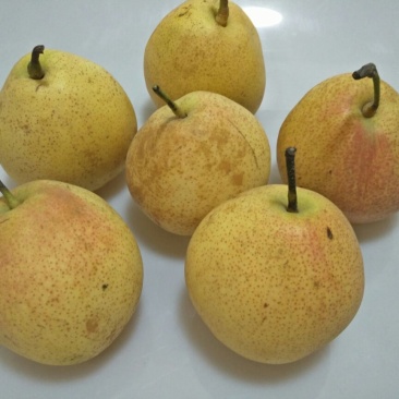 红梨200~250g纸箱