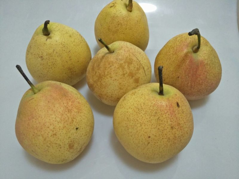 红梨200~250g纸箱