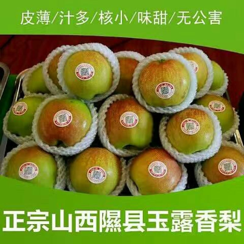 梨450~500g纸箱