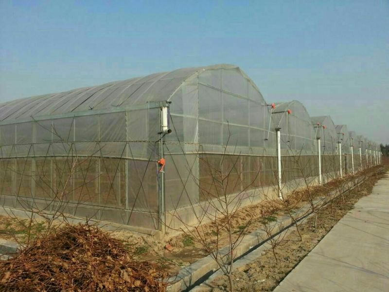 钢架大棚蔬菜大棚温室大棚