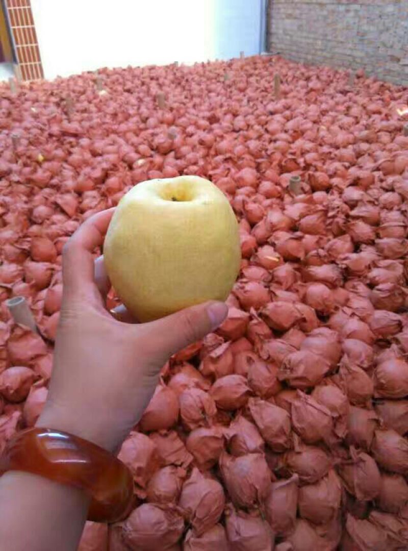 酥梨150~200g纸袋