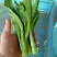蔬菜