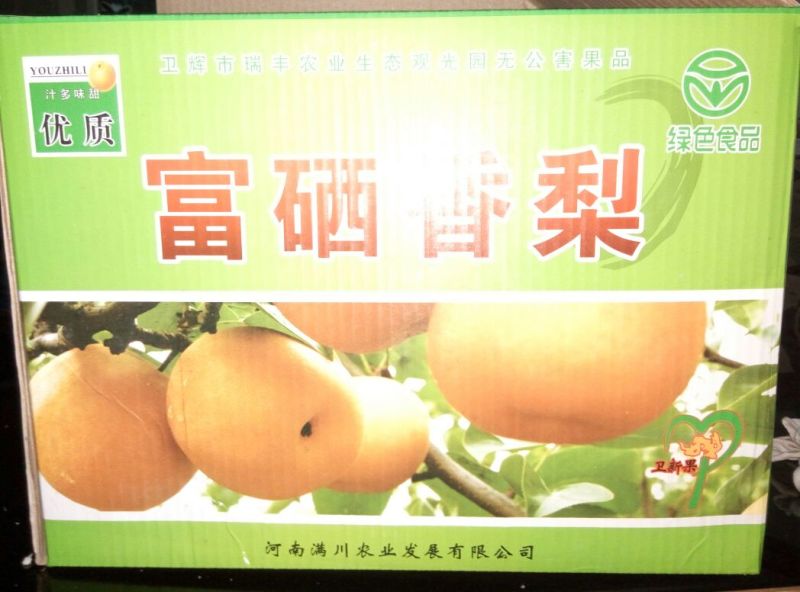 晚秋黄梨
