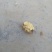 青皮核桃30mm以上去皮