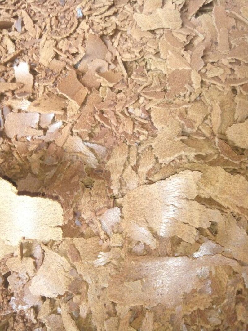 非转基因菜籽油一级
