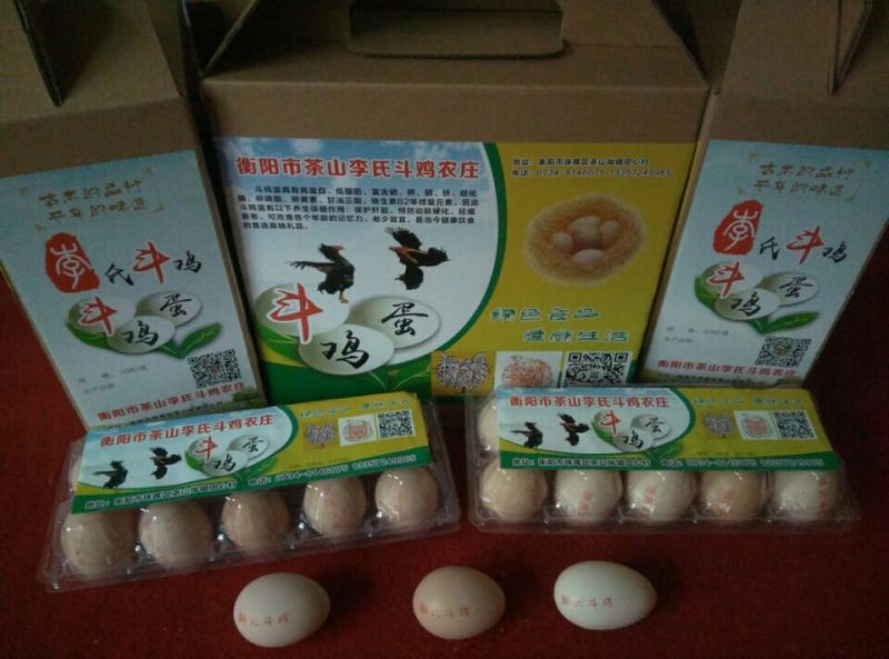 斗鸡苗1斤以下