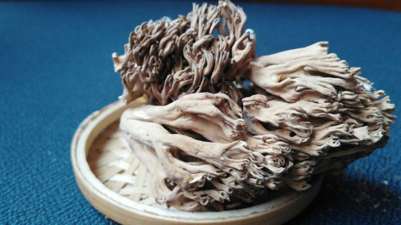 珊瑚菌鹿茸菇野生菌干货