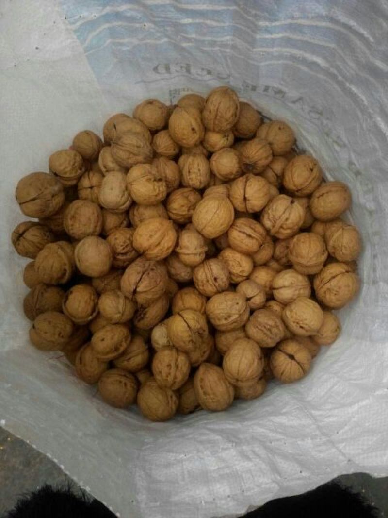 香玲核桃