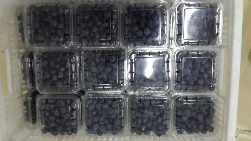蓝莓4~6mm以上
