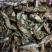 鱼干炸鱼干