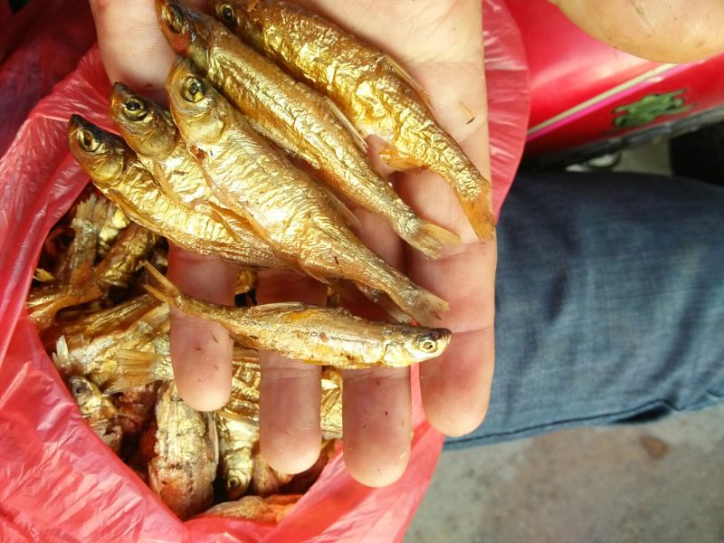 鱼干烤鱼干