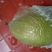 皇冠梨