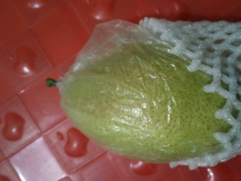 皇冠梨