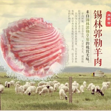 羊寸排是带骨绵羊肉
